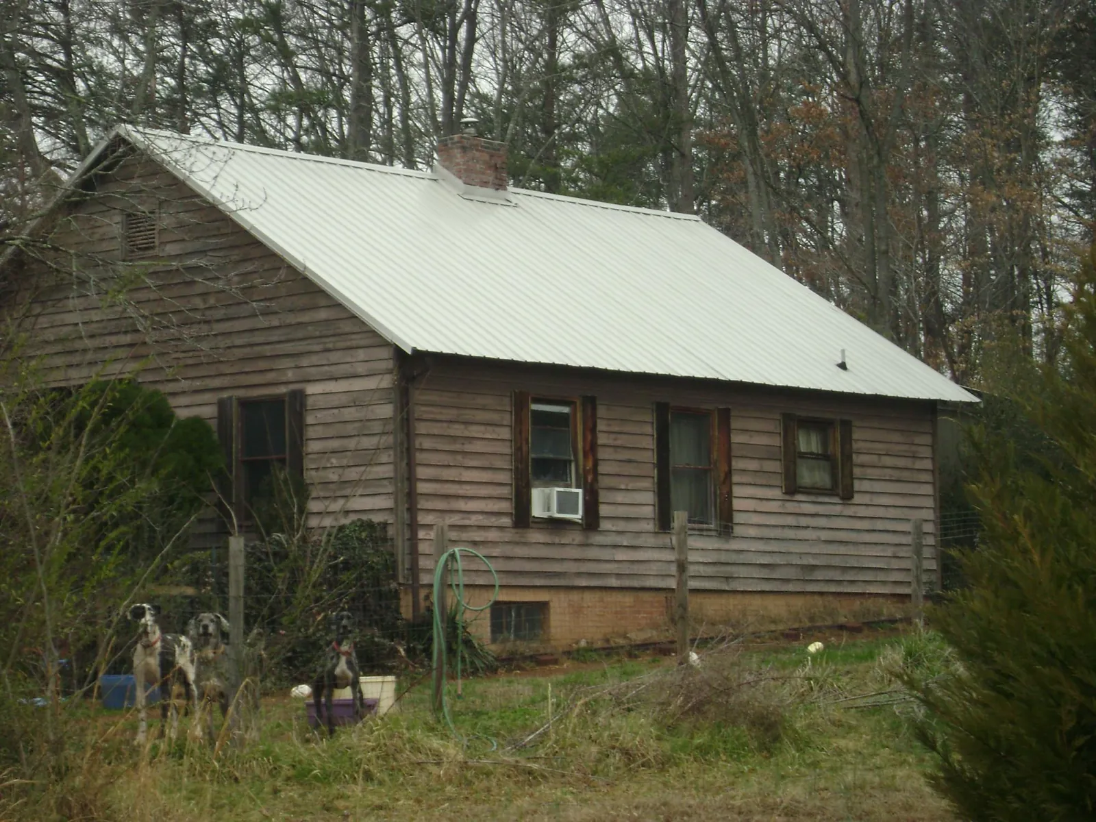 White metal roof on an old wood sided farmhouse, from a Asphalt Shingle Roof Repair job in Alameda